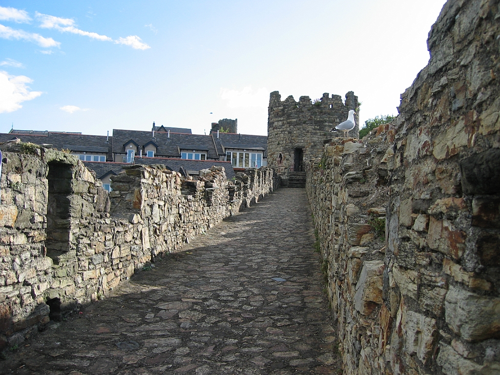 Pays de Galles 044 - Conwy.jpg